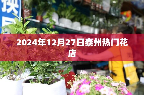 泰州热门花店推荐（2024年12月27日）