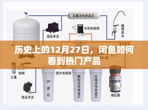 闲鱼热门产品查看指南，揭秘历史日期与热门商品关联内幕