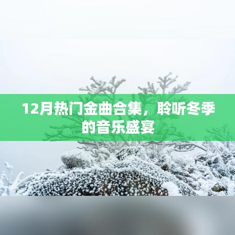 冬季音乐盛宴，12月热门金曲大合集