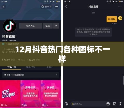 抖音图标大揭秘，最新热门图标盘点 12月版