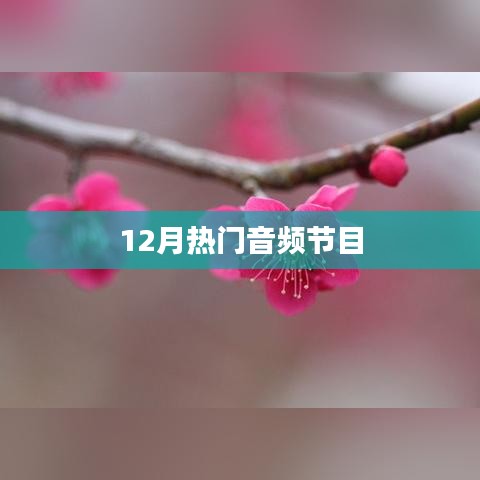 12月热门音频节目推荐，不容错过！