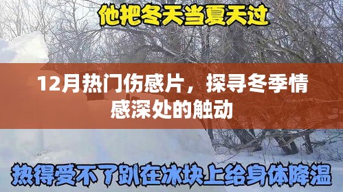 冬季热门伤感电影，情感深处的触动