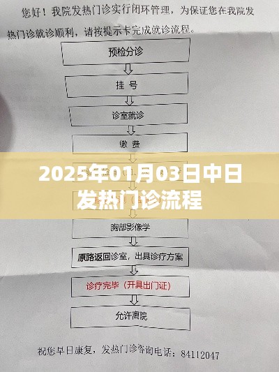 中日发热门诊流程对比，2025年1月3日数据解析