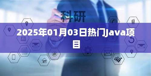 2025年热门Java项目概览