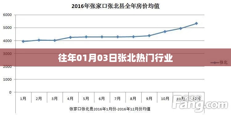 张北地区热门行业概览，历年一月初市场分析