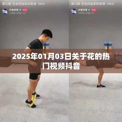 2025年元旦后热门花卉视频席卷抖音