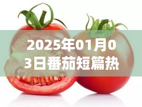 『2025年热门番茄短篇佳作一览』