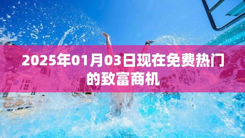 2025年最新热门致富商机，免费探索财富之门！