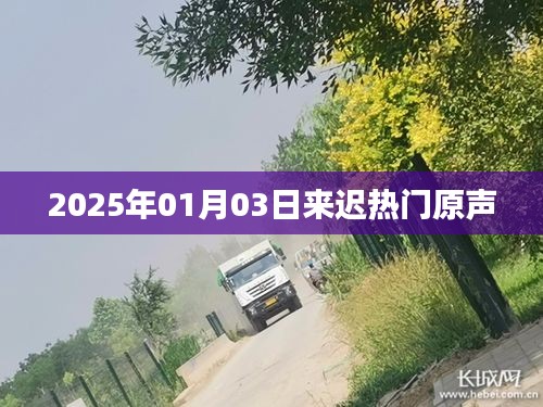 2025年热门原声揭秘，新年新声音