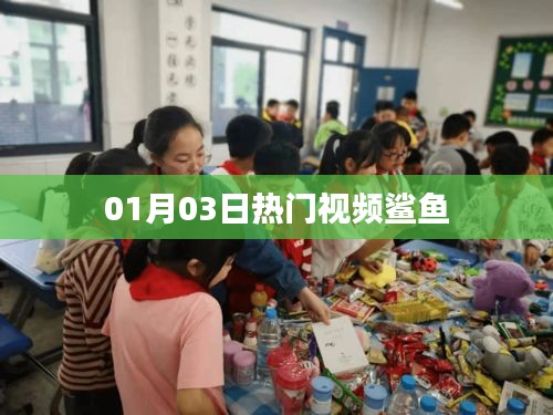 热门视频揭秘，鲨鱼世界探秘之旅（最新更新）