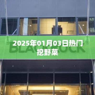 2025年元旦挖野菜热潮来袭