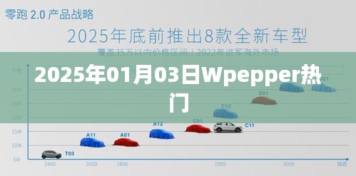 Wpepper热门事件回顾，2025年1月3日一览