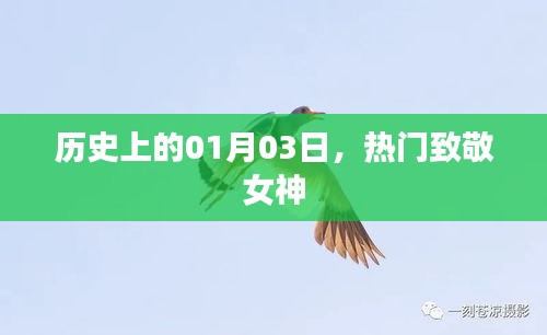 女神致敬日，历史回顾与纪念