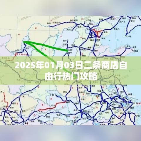 二条商店自由行指南，热门攻略助你畅游2025年新春