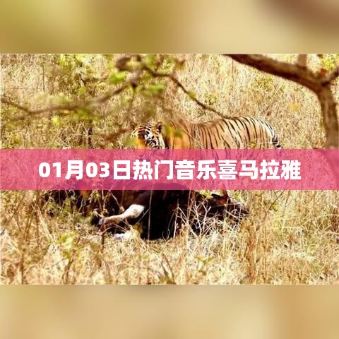 喜马拉雅热门音乐榜单（每日更新）