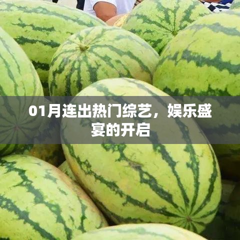 热门综艺连番来袭，娱乐盛宴一月份开启