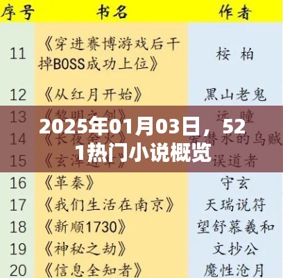 热门小说一览，2025年元旦，521小说概览