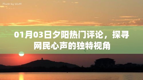 夕阳下的热议，探寻网民心声的独特视角