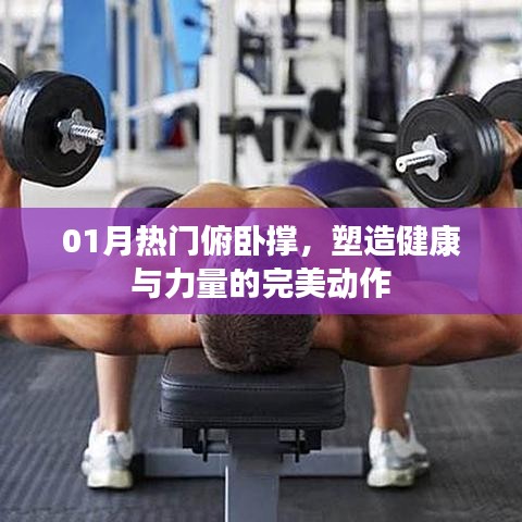 俯卧撑塑造健康与力量，一月热门锻炼动作