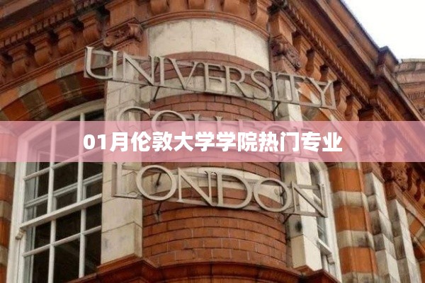 伦敦大学学院热门专业榜单（最新一月版）