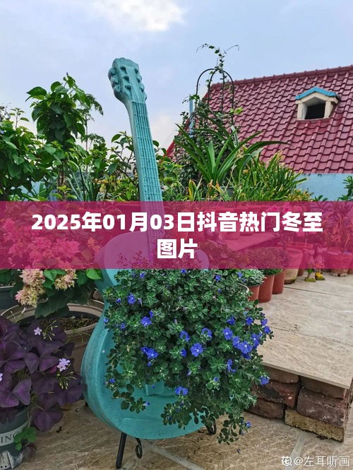 2025年冬至抖音热门图片分享