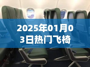 『2025年元旦后热门飞椅，时尚新潮必备』