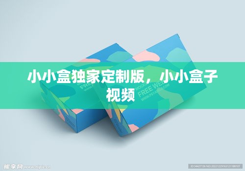 小小盒独家定制版，小小盒子视频 