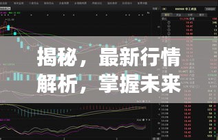 揭秘，最新行情解析，掌握未来趋势——关于15202st的全面解读