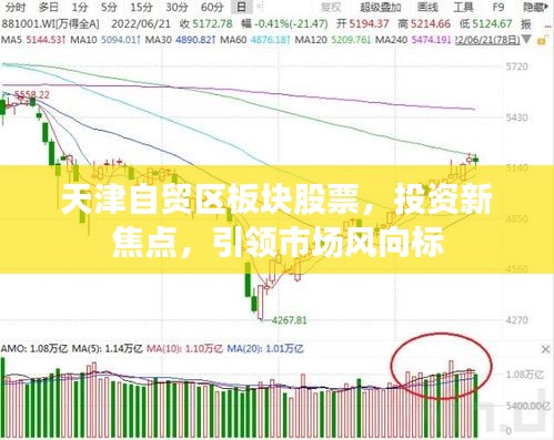 天津自贸区板块股票，投资新焦点，引领市场风向标