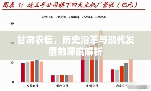 甘肃农信，历史沿革与现代发展的深度解析