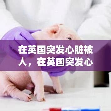 在英国突发心脏被人，在英国突发心脏被人捅了一刀 