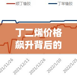 2025年1月12日 第9页