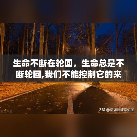 生命不断在轮回，生命总是不断轮回,我们不能控制它的来去 