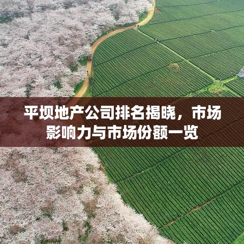 平坝地产公司排名揭晓，市场影响力与市场份额一览