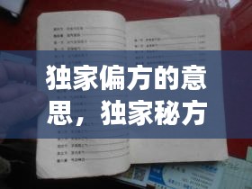 2025年1月13日 第2页