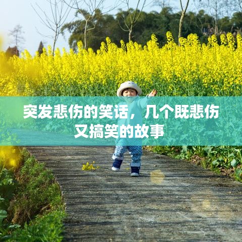 突发悲伤的笑话，几个既悲伤又搞笑的故事 