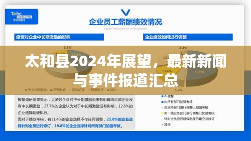 太和县2024年展望，最新新闻与事件报道汇总