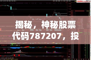 揭秘，神秘股票代码787207，投资机会还是风险警示？