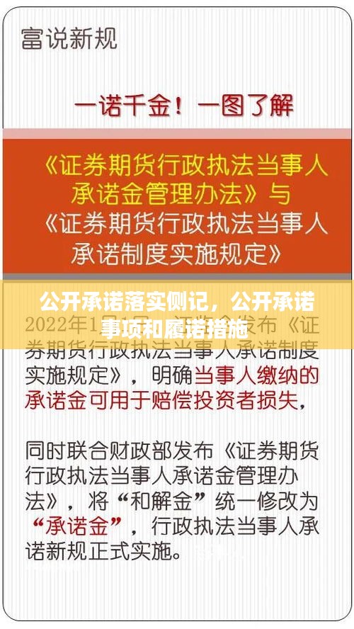 公开承诺落实侧记，公开承诺事项和履诺措施 