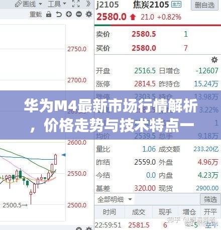 2025年1月17日 第4页