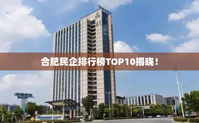 合肥民企排行榜TOP10揭晓！