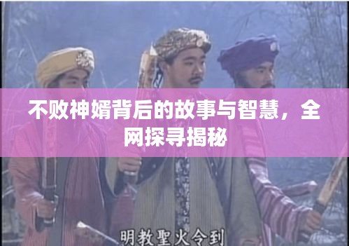 不败神婿背后的故事与智慧，全网探寻揭秘