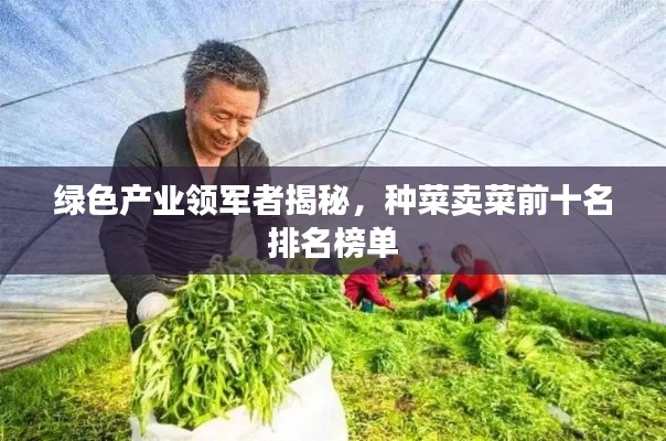 绿色产业领军者揭秘，种菜卖菜前十名排名榜单