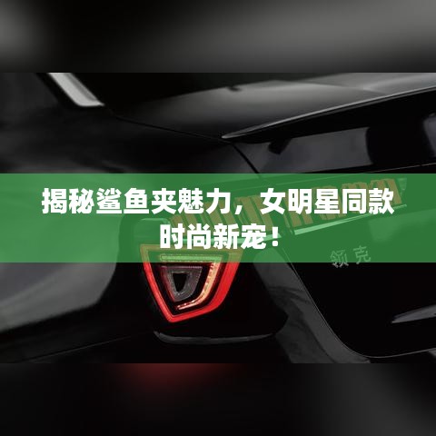 揭秘鲨鱼夹魅力，女明星同款时尚新宠！