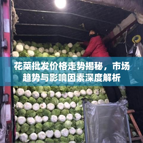 花菜批发价格走势揭秘，市场趋势与影响因素深度解析