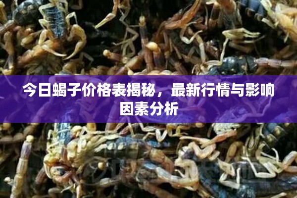 今日蝎子价格表揭秘，最新行情与影响因素分析