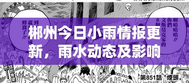 郴州今日小雨情报更新，雨水动态及影响分析