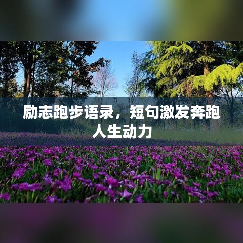 励志跑步语录，短句激发奔跑人生动力