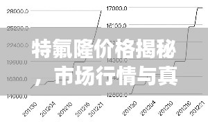 特氟隆价格揭秘，市场行情与真实成本解析