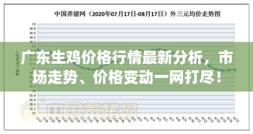 广东生鸡价格行情最新分析，市场走势、价格变动一网打尽！